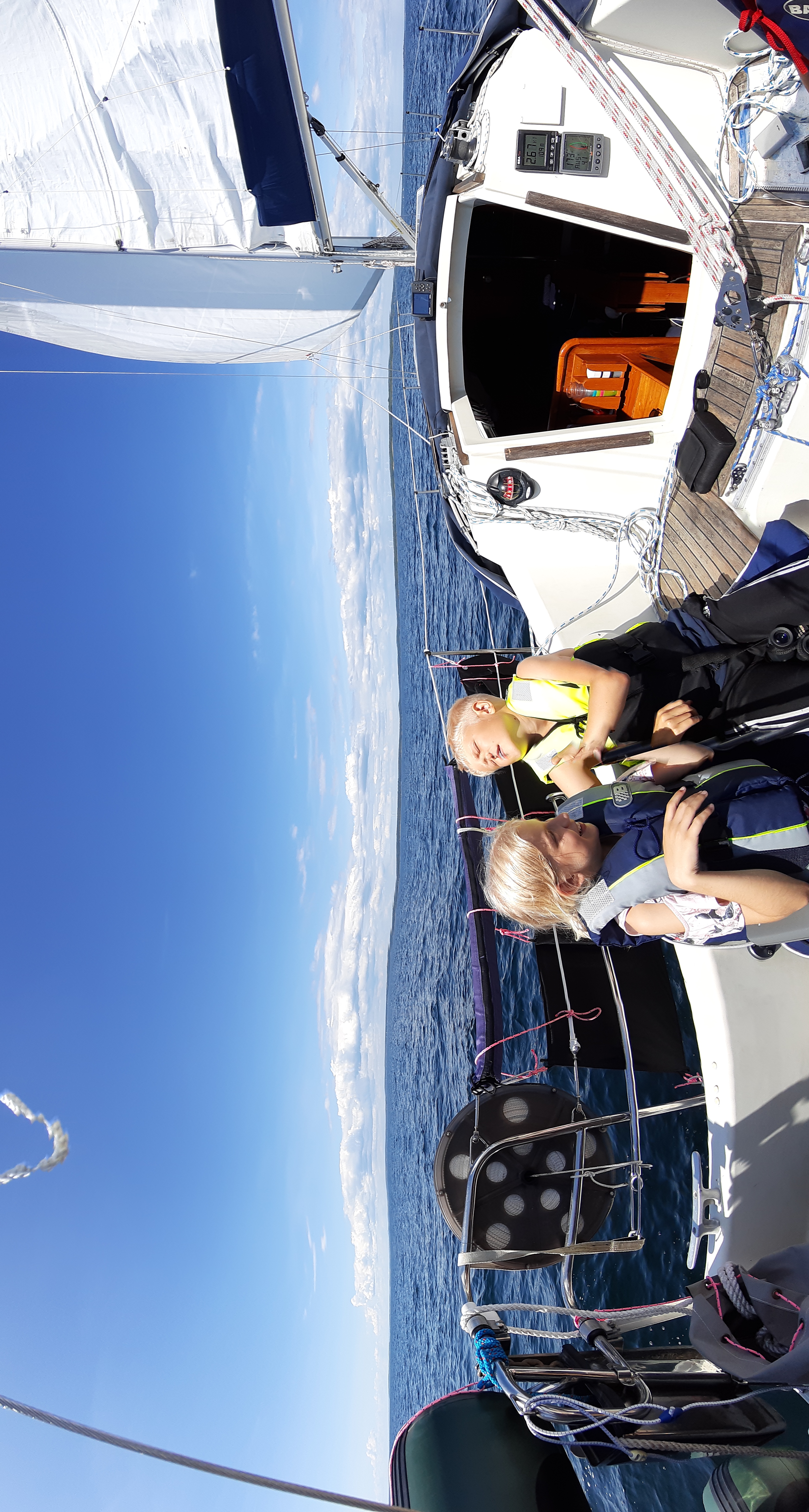 Scampi i hamn, juli 2019